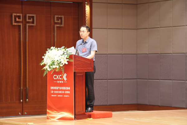 王炳章会长代表协会第二届理事会作工作报告
